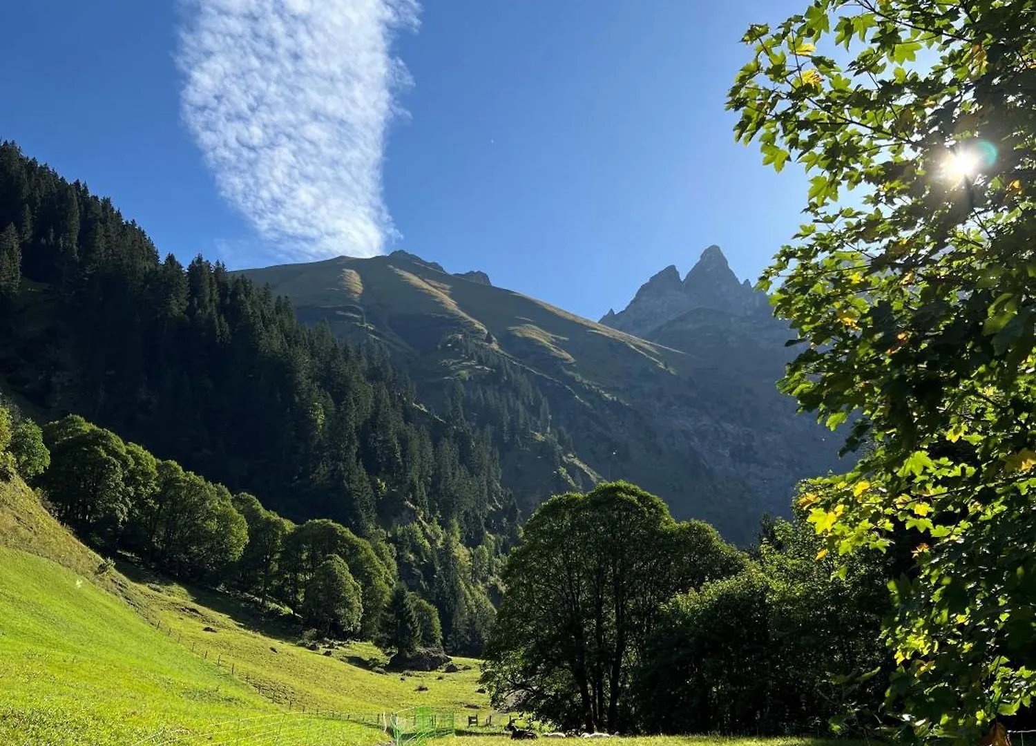 Traudi Apartment Oberstdorf